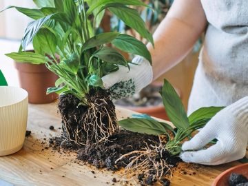 пасхальная уборка