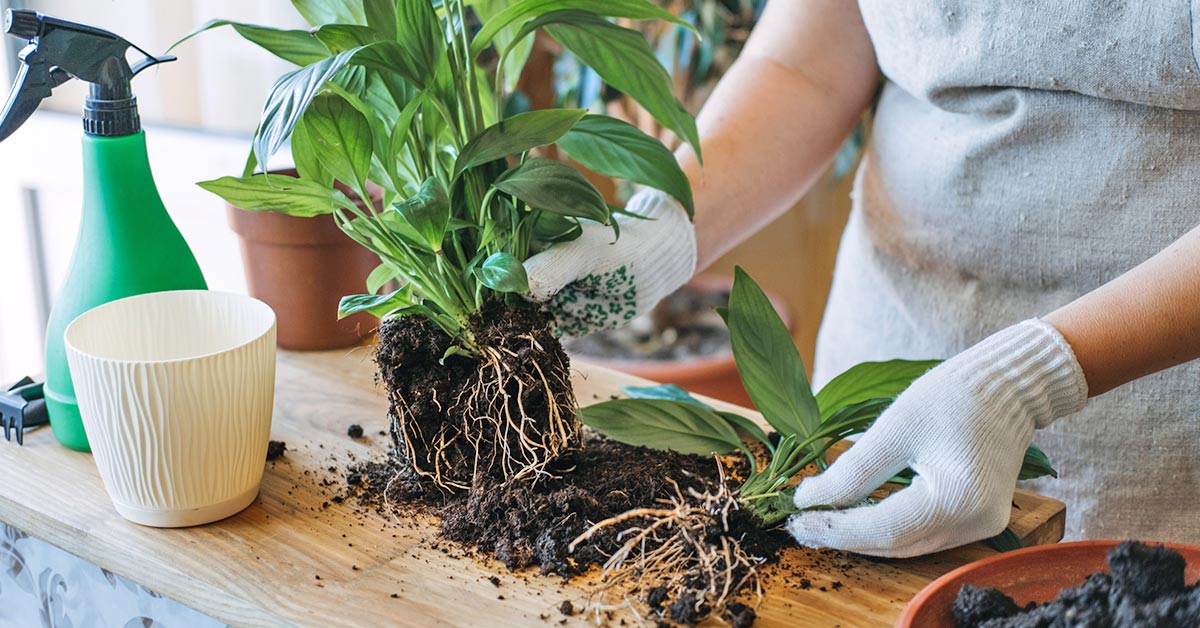 пасхальная уборка