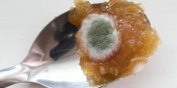 Плесень на варенье