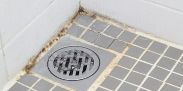 Плесень в ванной комнате