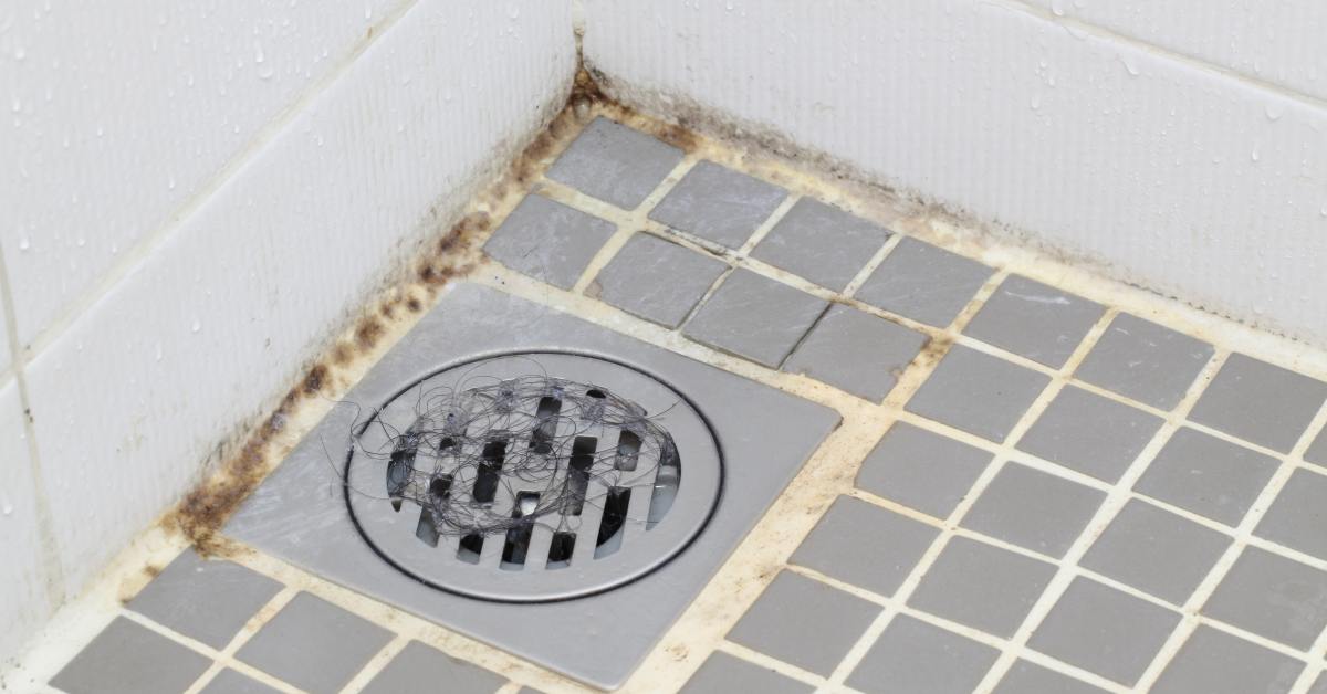 Плесень в ванной комнате