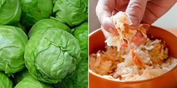 Почему квашеная капуста мягкая