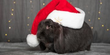 Подготовка к Новому году