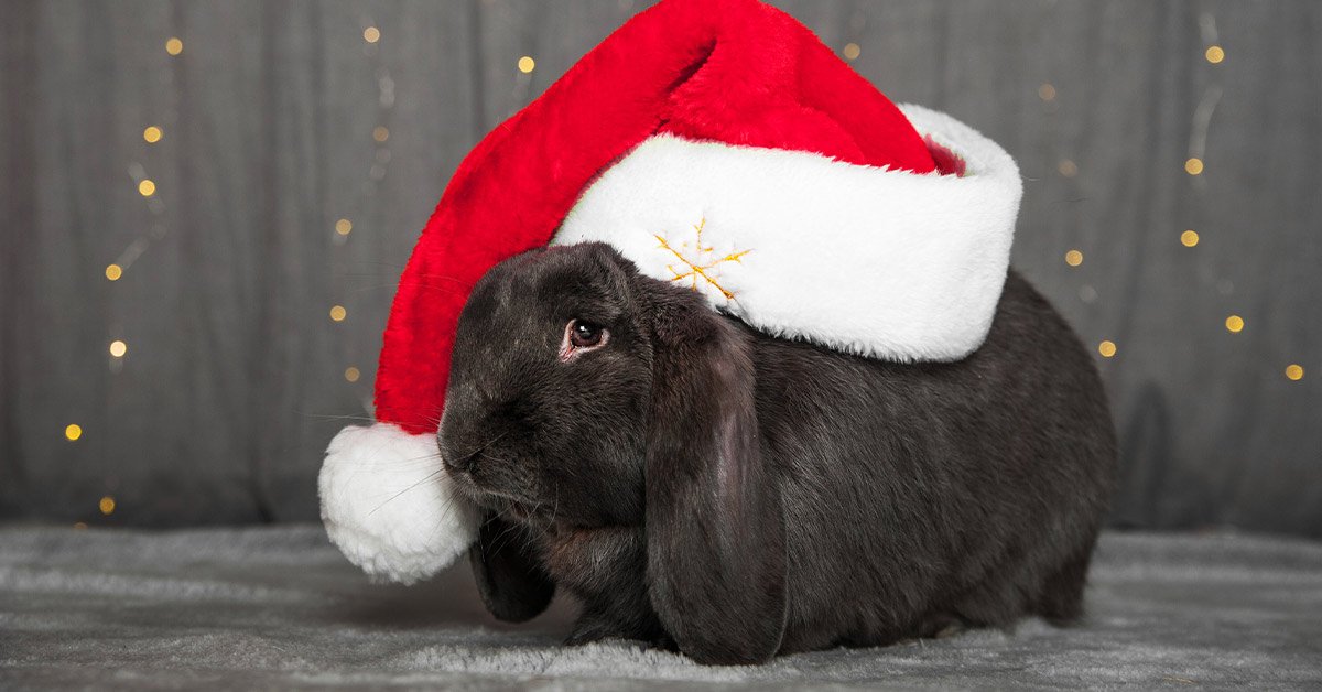 Подготовка к Новому году