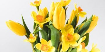 подкормка для цветов