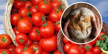 подкормка из хлеба