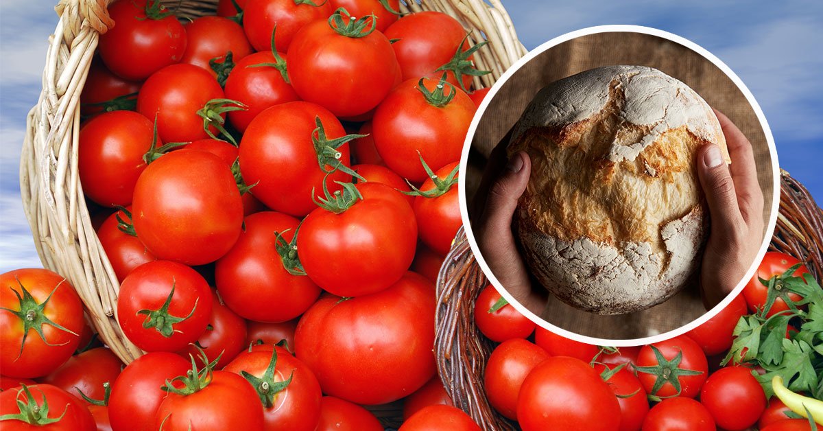 подкормка из хлеба