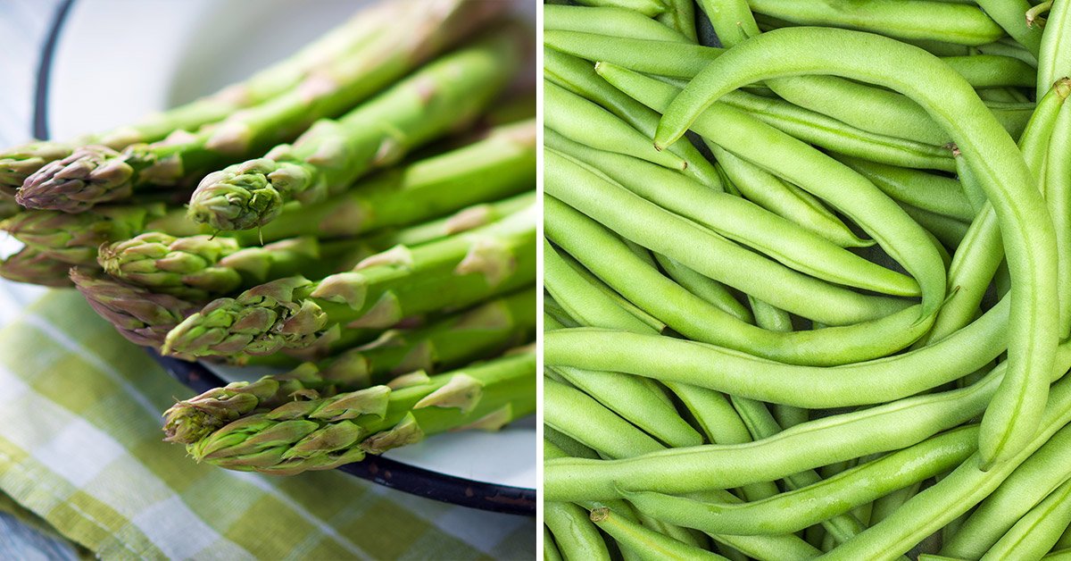 Похожие продукты