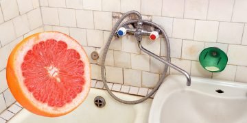 Полезные свойства фруктов