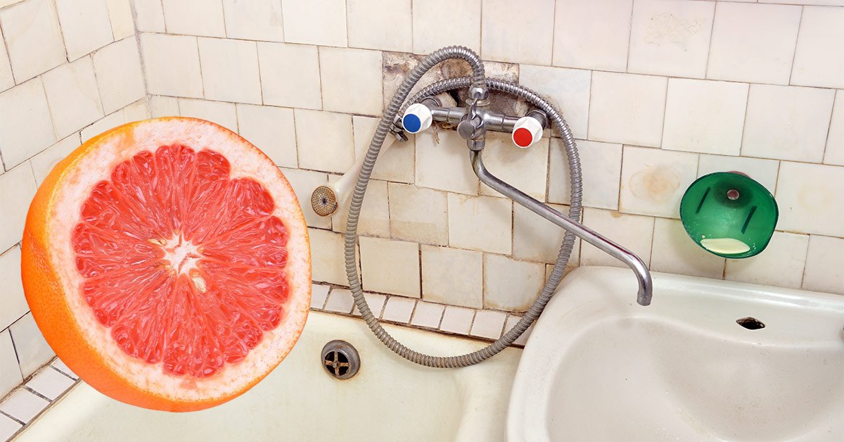 Полезные свойства фруктов