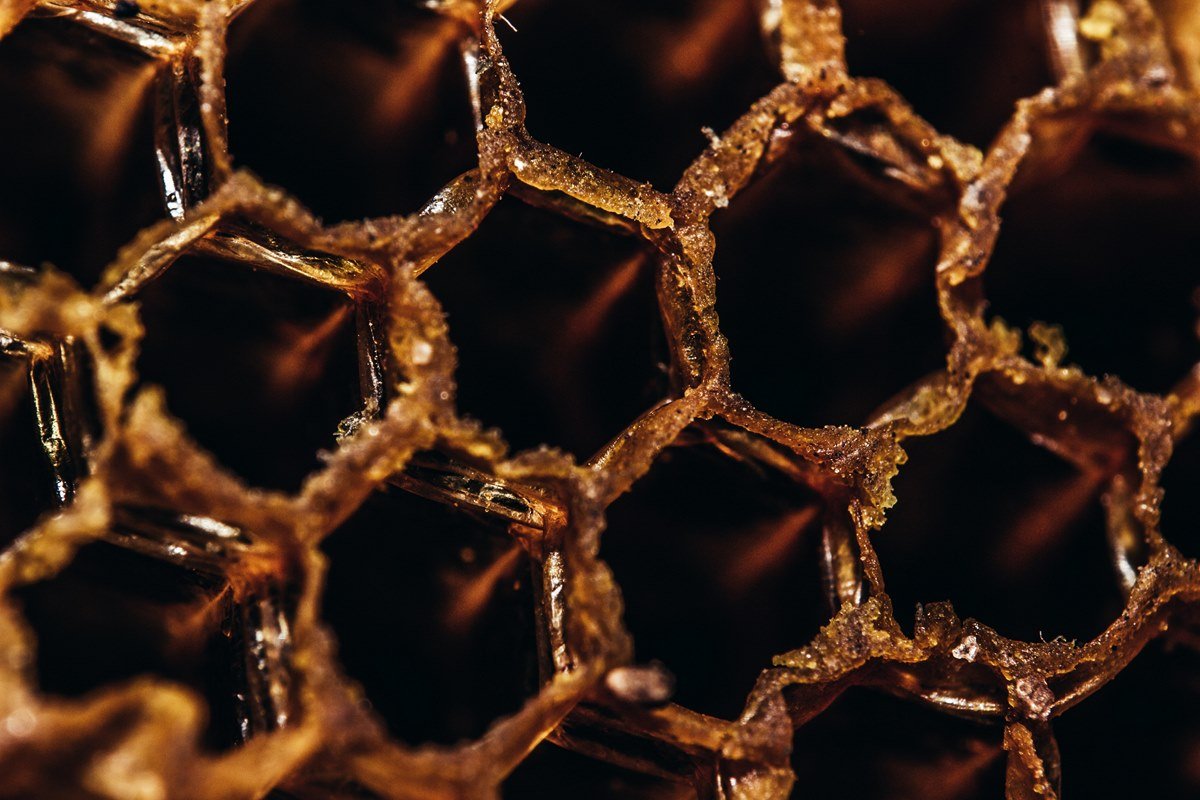 Польза мёда для организма