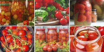 консервированные помидоры