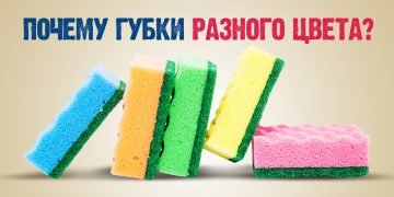 Поролоновая губка