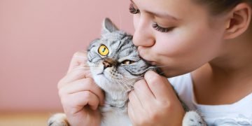 Поведение животных