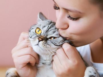 Поведение животных