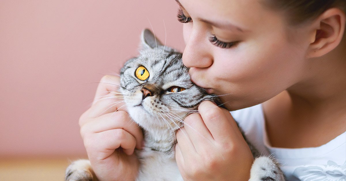 Поведение животных