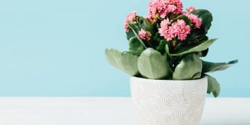 Рабочая атмосфера