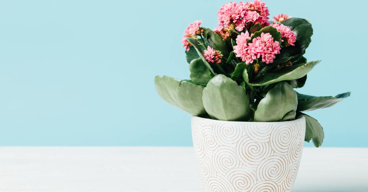 Рабочая атмосфера