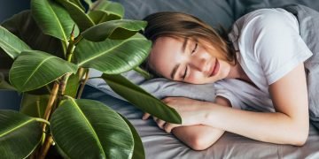 растения улучшающие сон