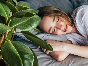 растения улучшающие сон