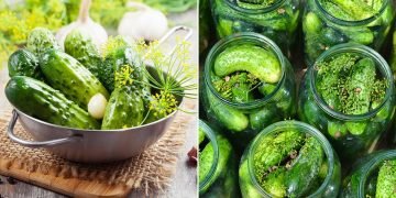 Рецепт кисло-сладких огурцов