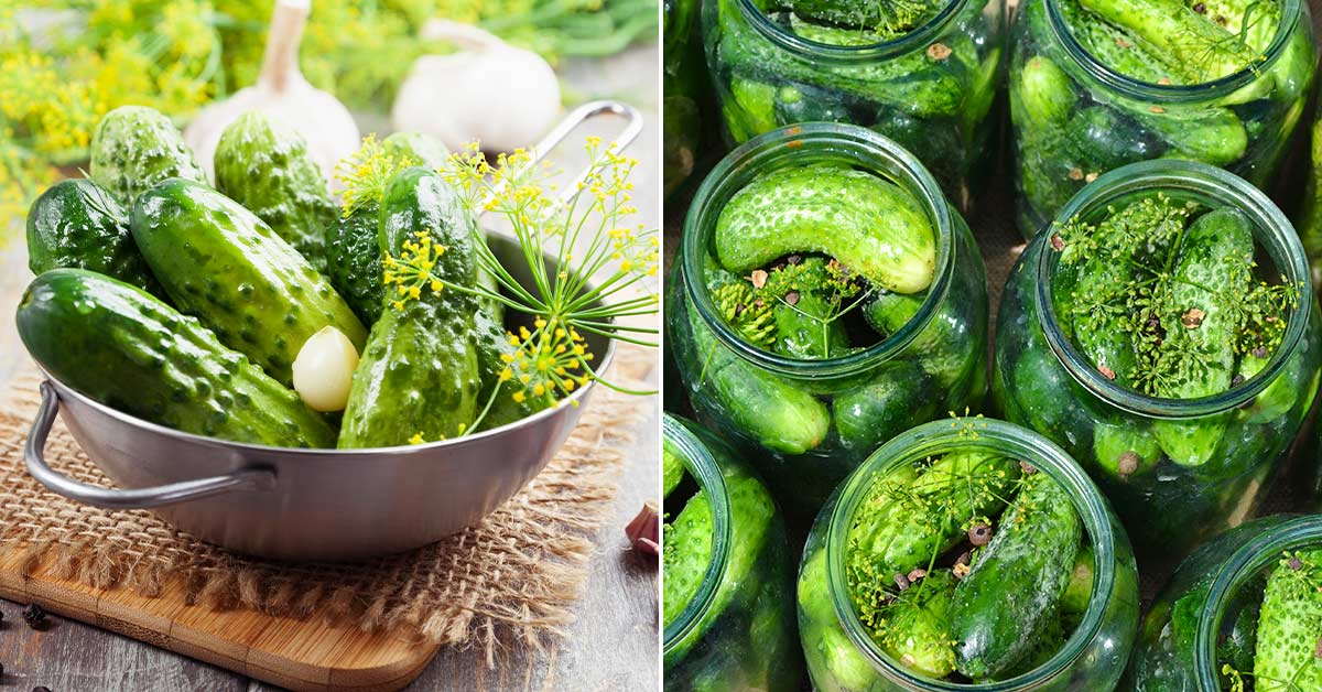 Рецепт кисло-сладких огурцов