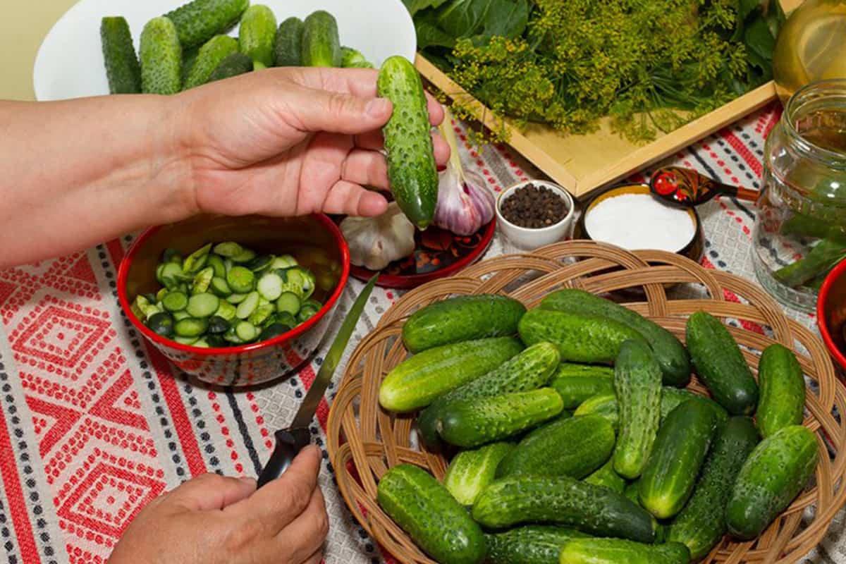 огурцы маринованные на зиму хрустящие без уксуса