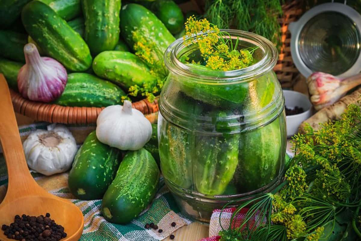 мариновать огурцы без уксуса рецепт