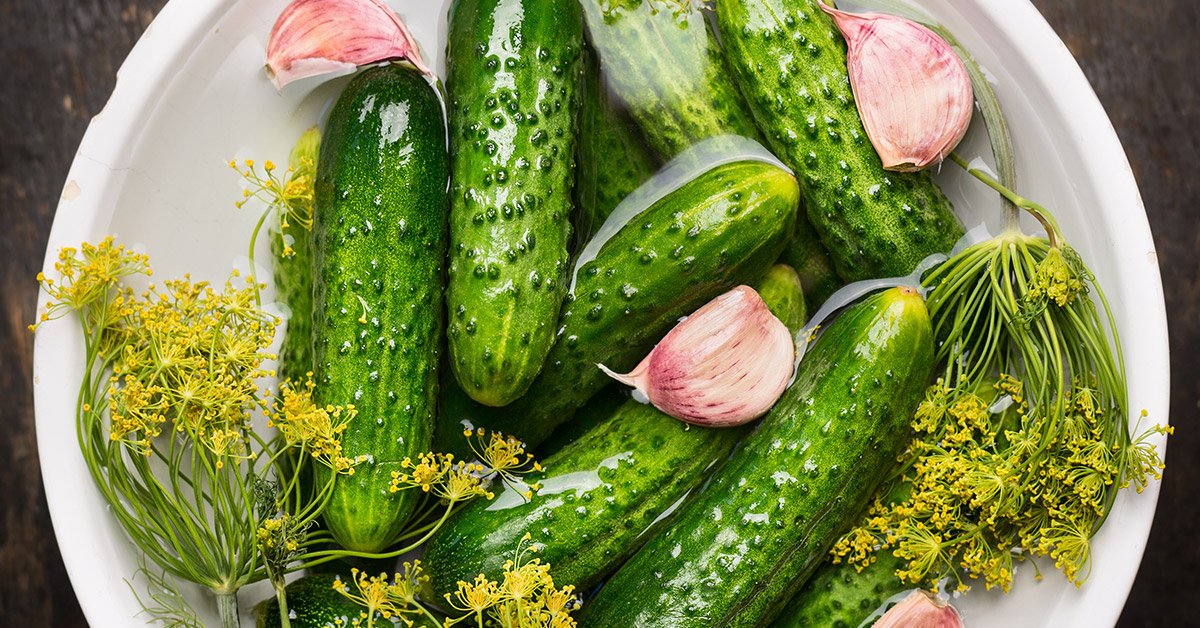Рецепт вкусных соленых огурцов