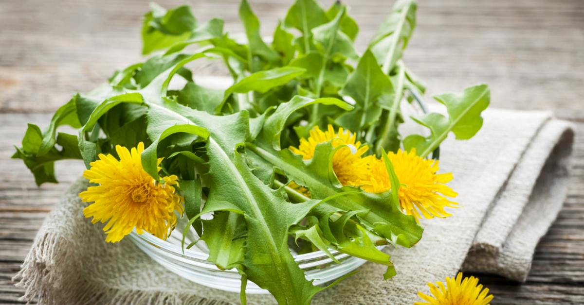 Салат из одуванчиков рецепт