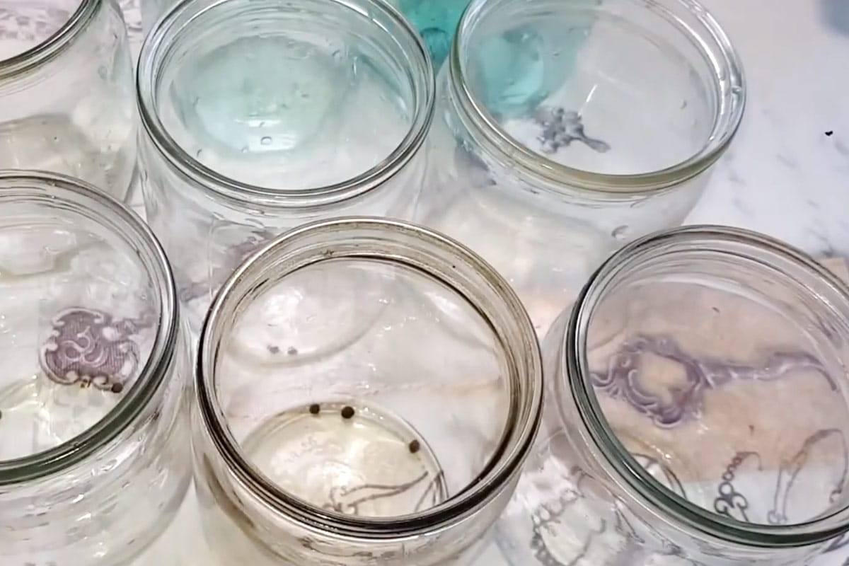 консервы домашние рецепты