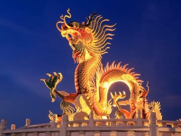 символ 2024 года