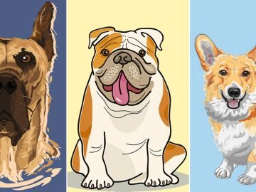 Сколько лет живут собаки