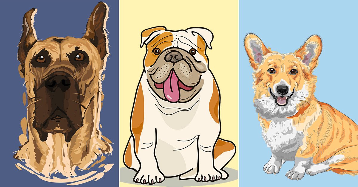 Сколько лет живут собаки