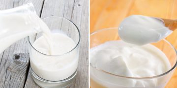 Сметана из молока в домашних условиях