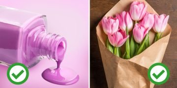 содержимое холодильника