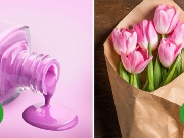 содержимое холодильника