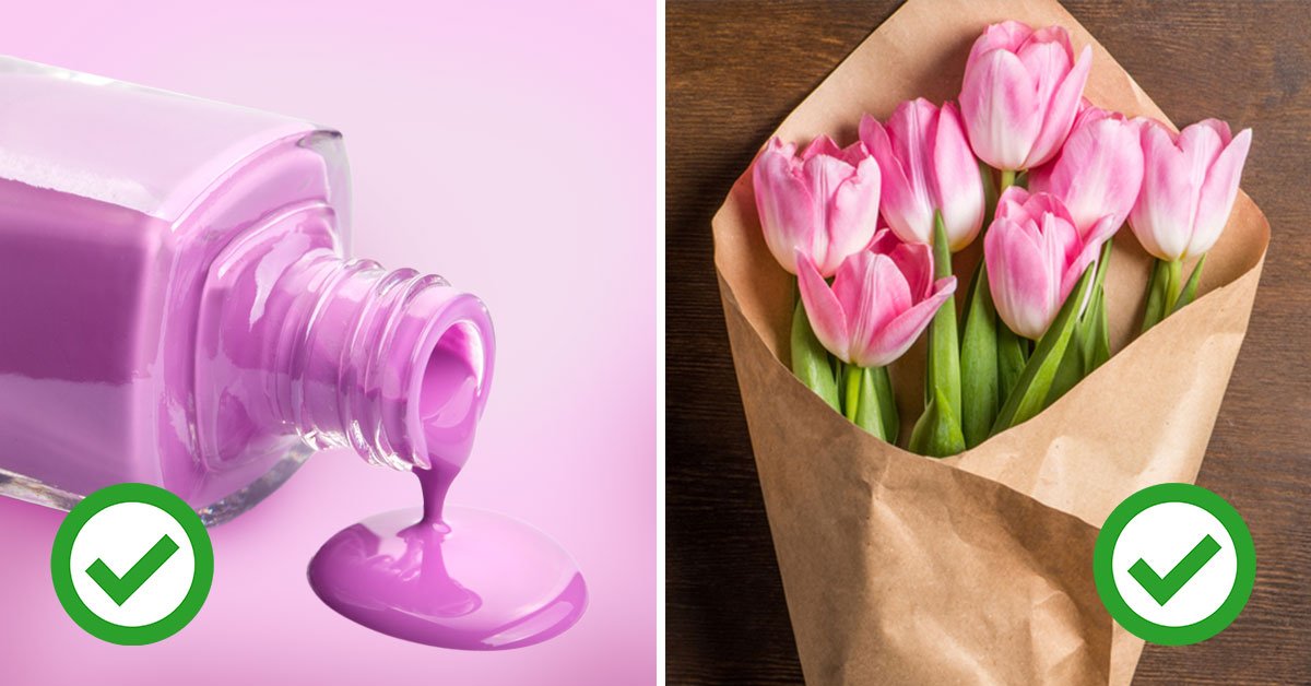 содержимое холодильника