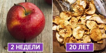 как сохранить продукты