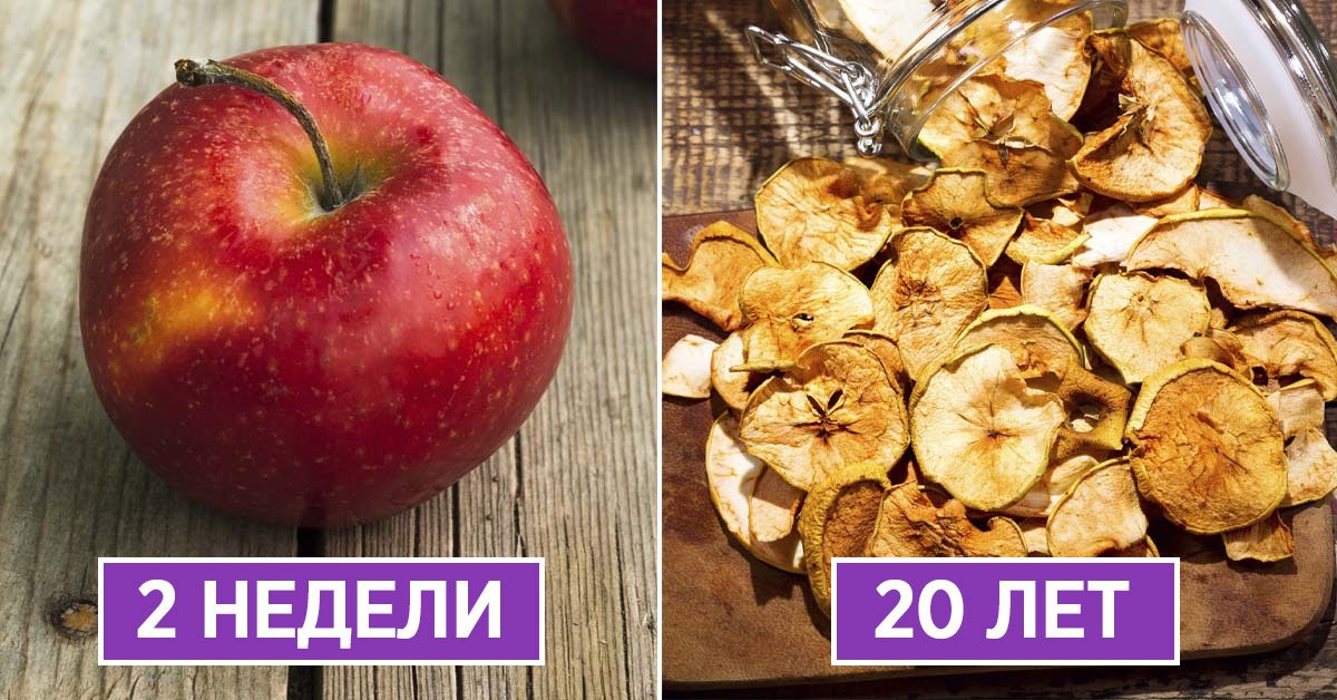 как сохранить продукты