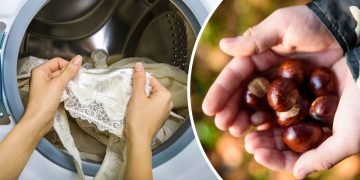 стирка с каштанами