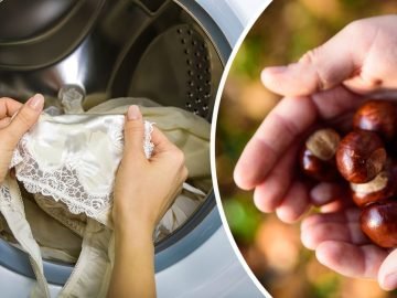 стирка с каштанами