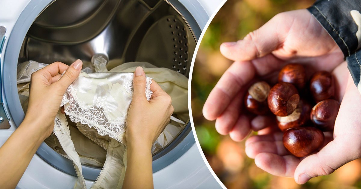 стирка с каштанами