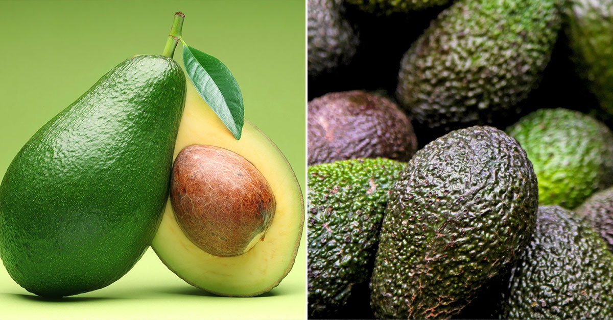 Свежие продукты