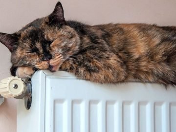 теплые батареи