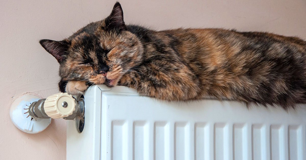 теплые батареи