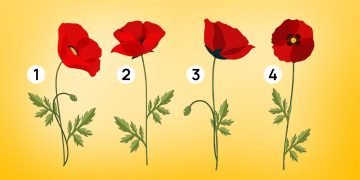 тест на одиночество