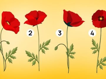 тест на одиночество