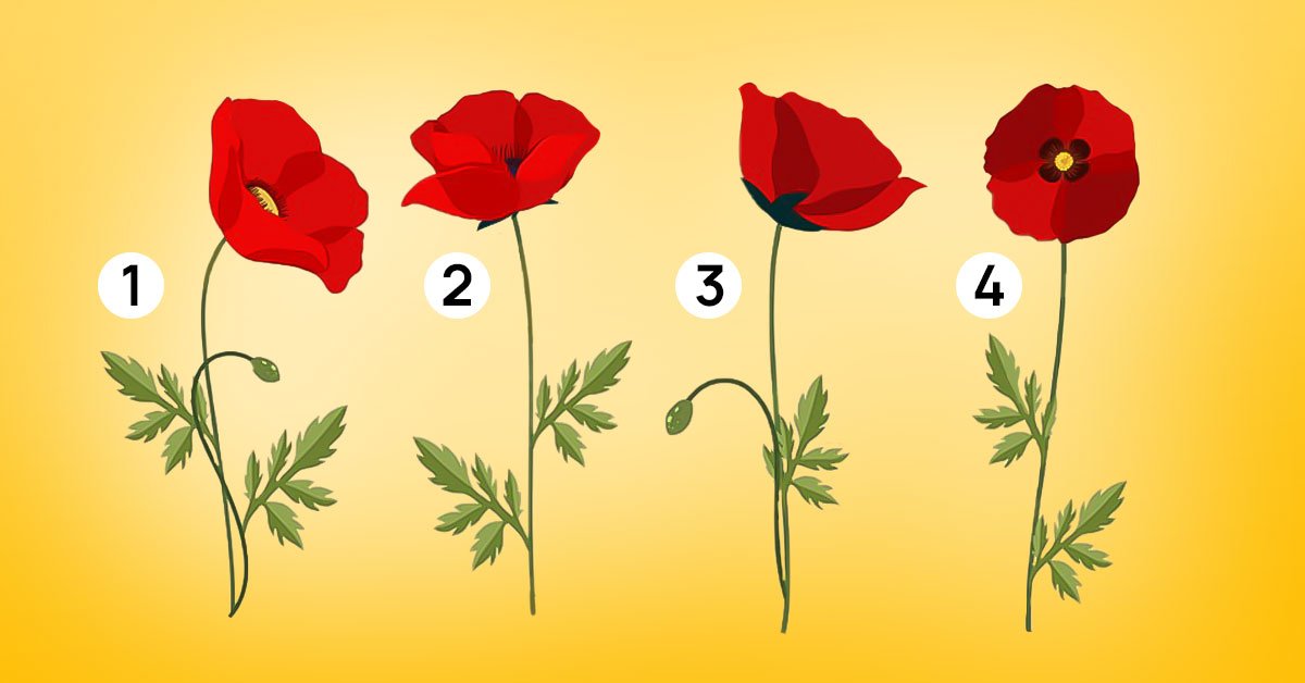 тест на одиночество