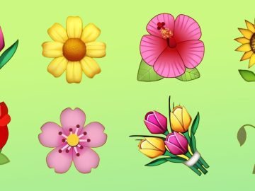 тест с цветами